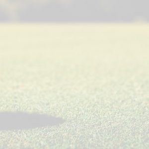 Club de golf à proximité des condos X15