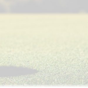 Club de golf à proximité des condos X15