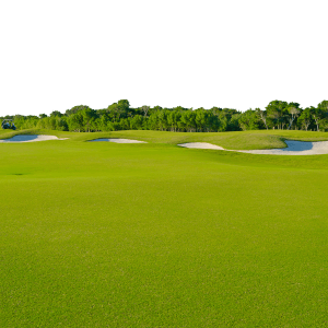 Situés à proximité de plusieurs Clubs de Golf