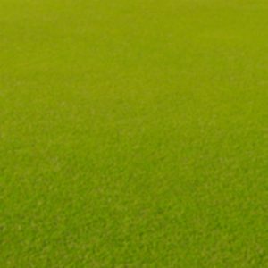 Situés à proximité de plusieurs Clubs de Golf