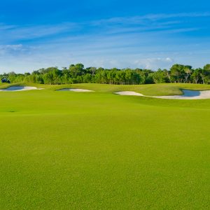 Situés à proximité de plusieurs Clubs de Golf